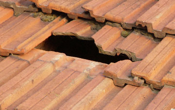 roof repair Asney, Somerset